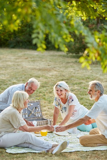 Group of four senior friends enjoying a picnic on a sunny day