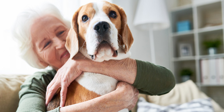 Elderly woman hugging a brown and white dog