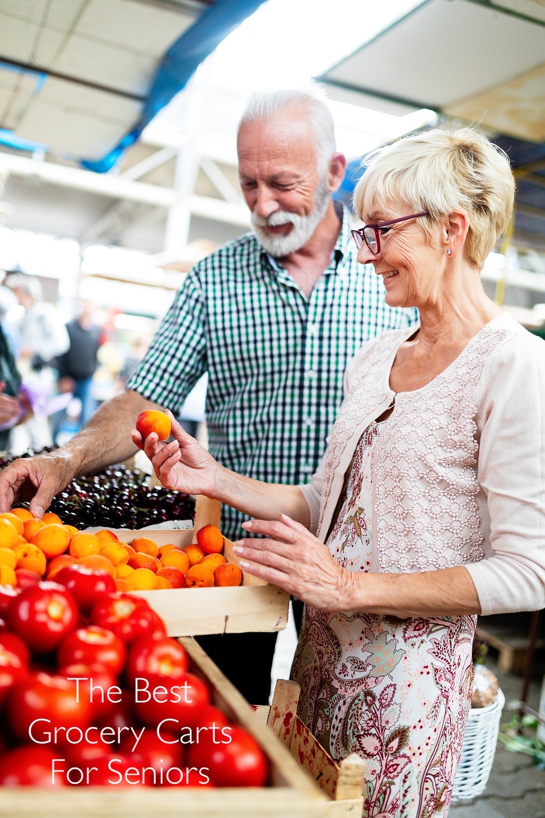 10 Best Grocery Carts for Seniors 2022