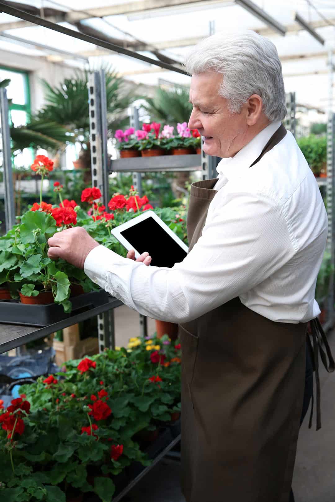 31 Good Jobs for Older People How Working Helps Seniors