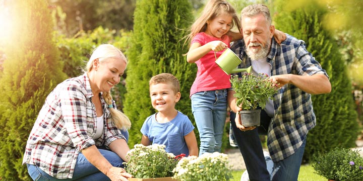 Elderly couple with grandchildren working in a garden