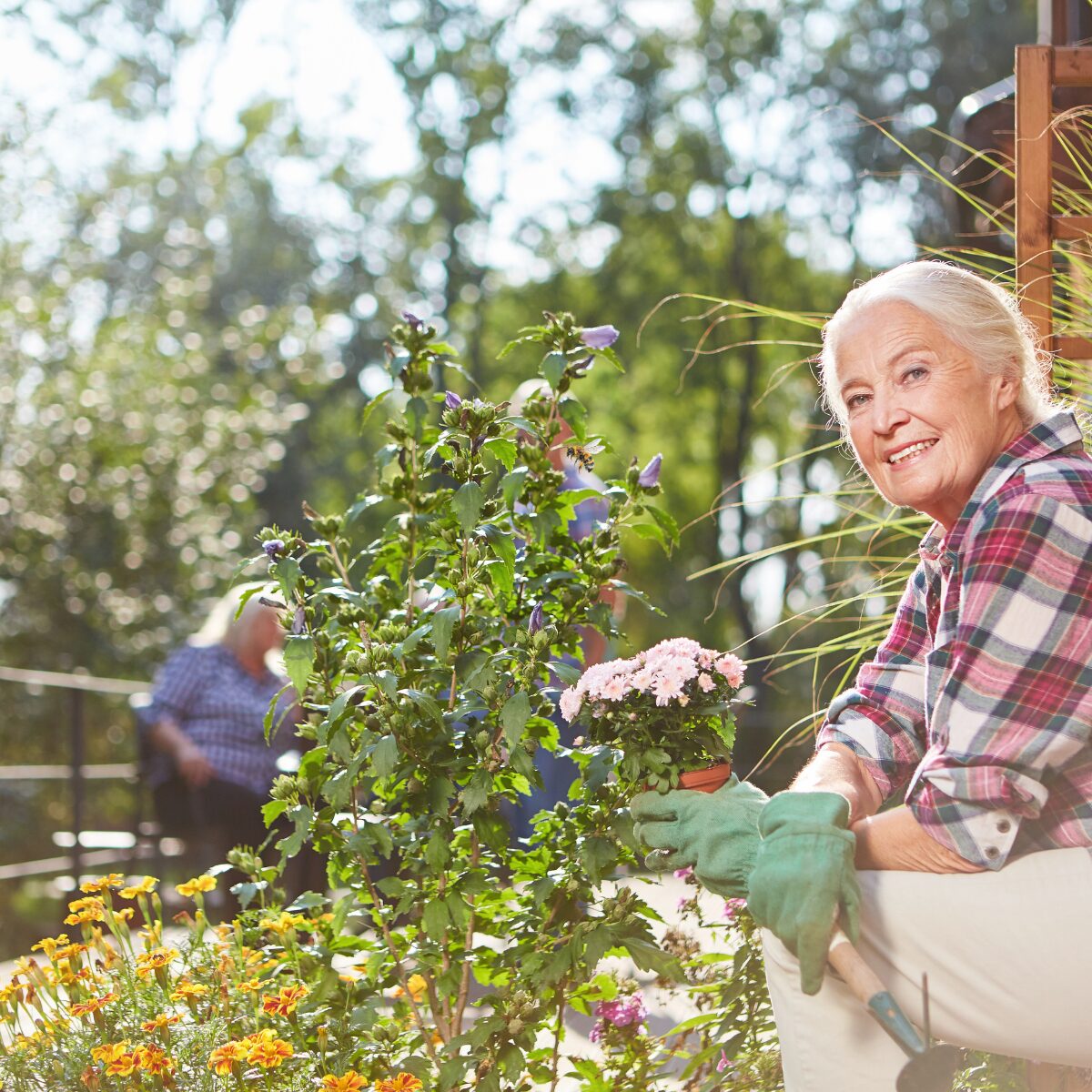 Elderly woman gardening