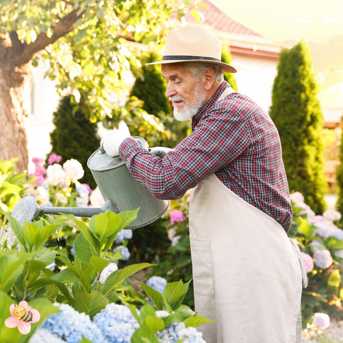 Elderly man gardening 
